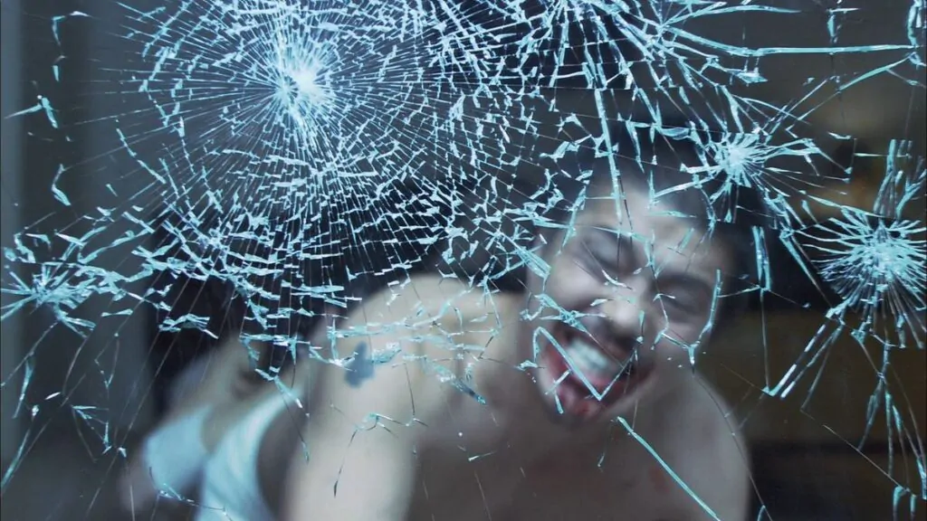 The Human Centipede (2010) - IFC Films 