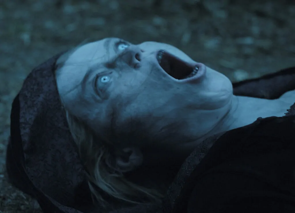 THE BITTER TASTE (Credit: 4Digital Media)