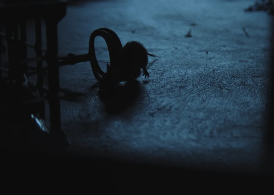 behind the scenes of new horror movie THE CONFESSION (Credit: Quiver Distribution)