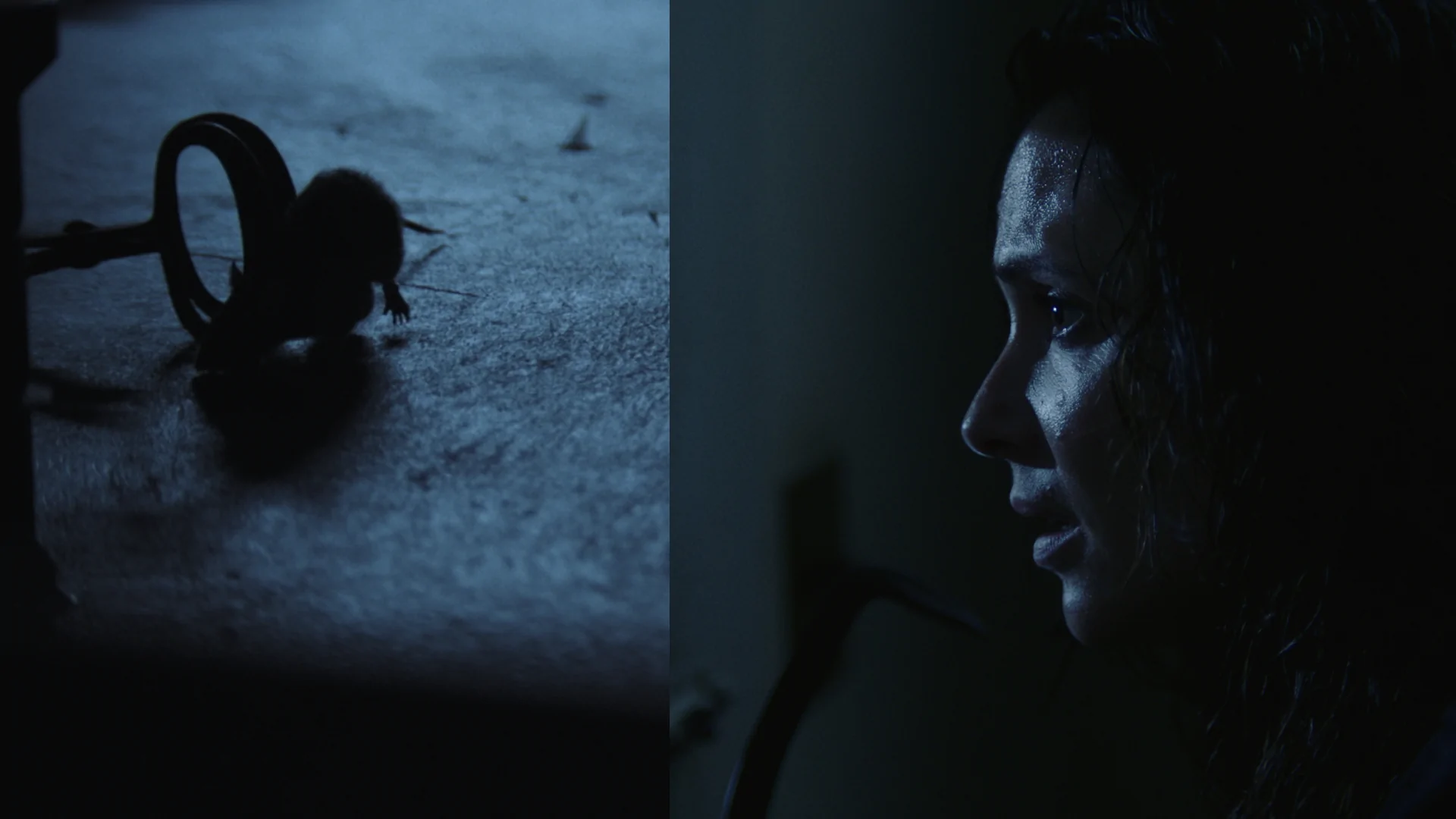 bts with the rats of THE CONFESSION