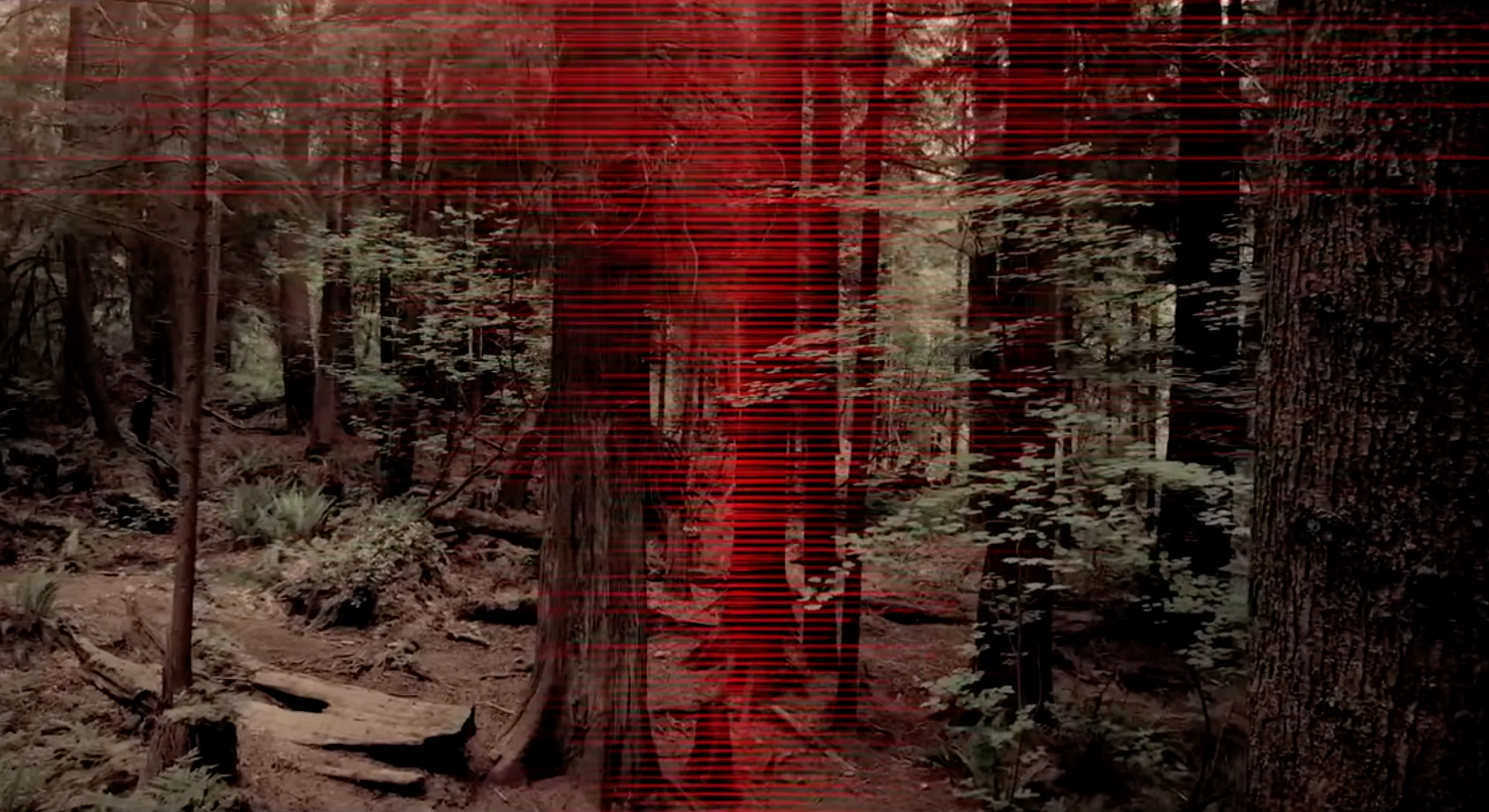 Something's lurking in the trees in A24's new UNDERTONE guided meditation teaser (Credit: A24)