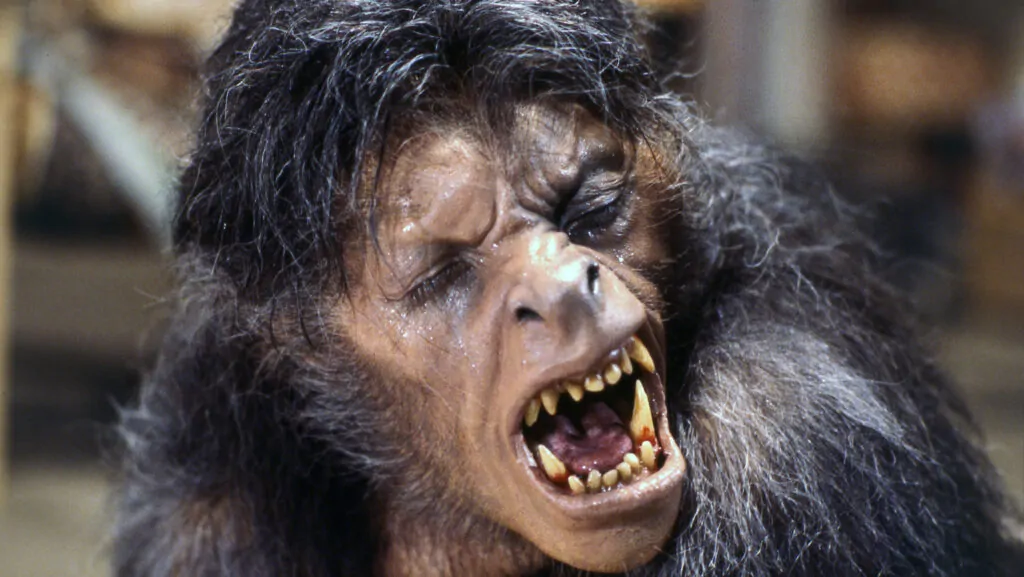 The werewolf transformation in An American Werewolf in Londn