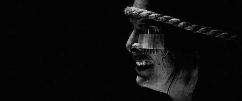 new international horror movies this month dead by dawn