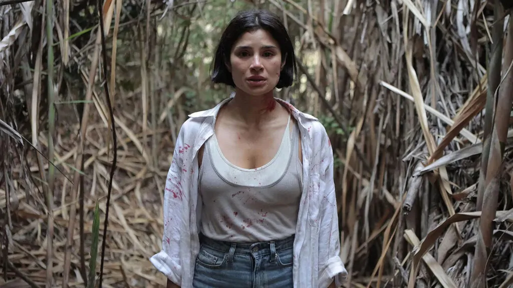 new international horror movies this month the whistler