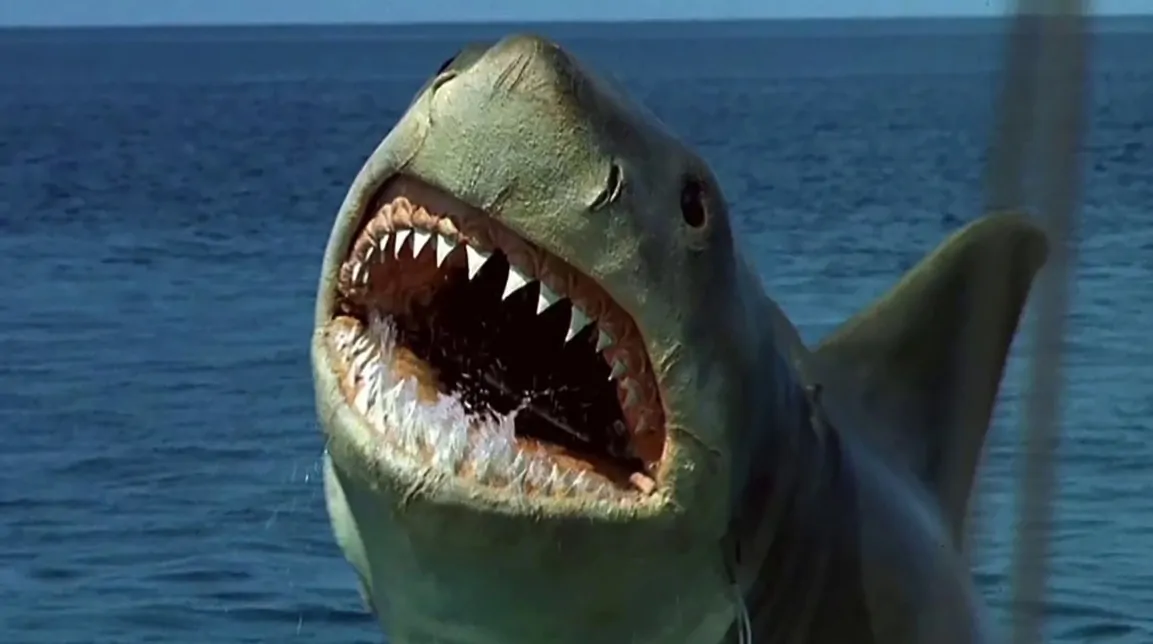 Bruce is tired, y'all. (Credit: Universal Pictures)