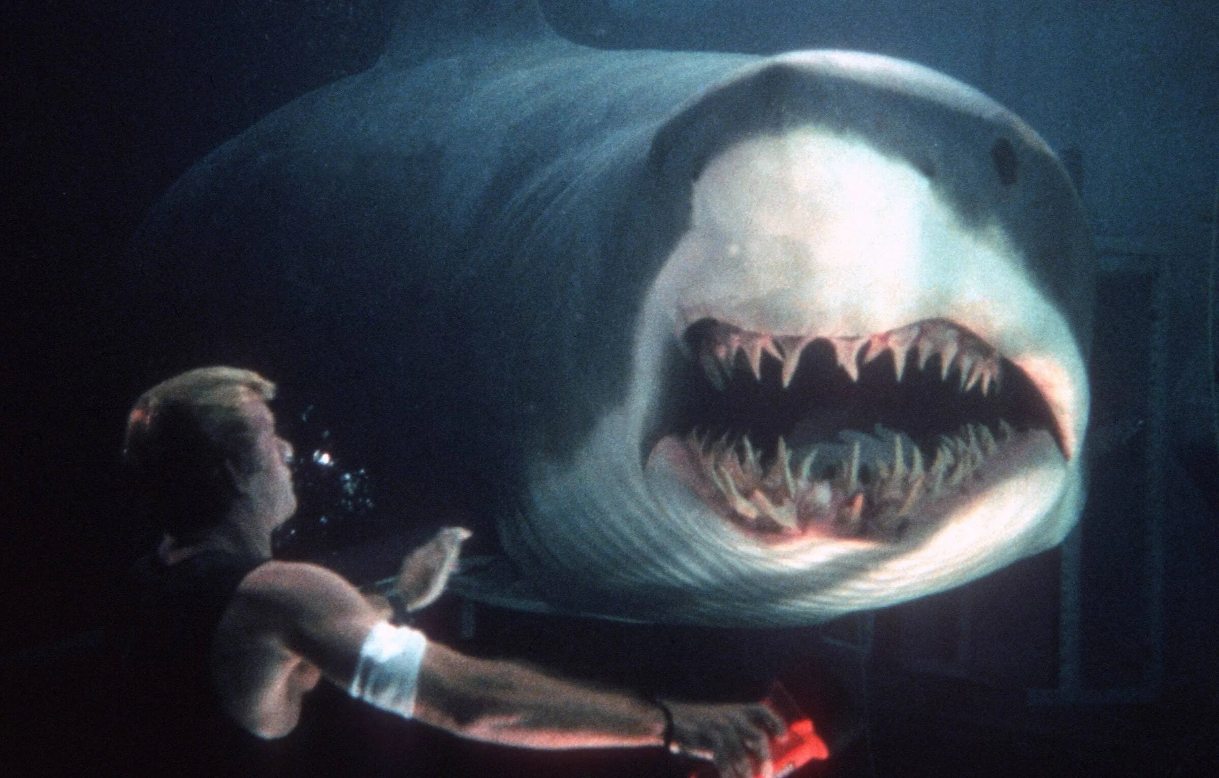 DEEP BLUE SEA (Credit: Warner Bros.)