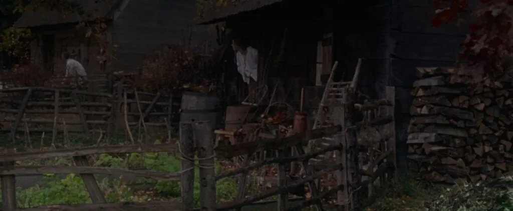 Thackery and Emily Binx's house in Pioneer Village -HOCUS POCUS (Credit: Disney)