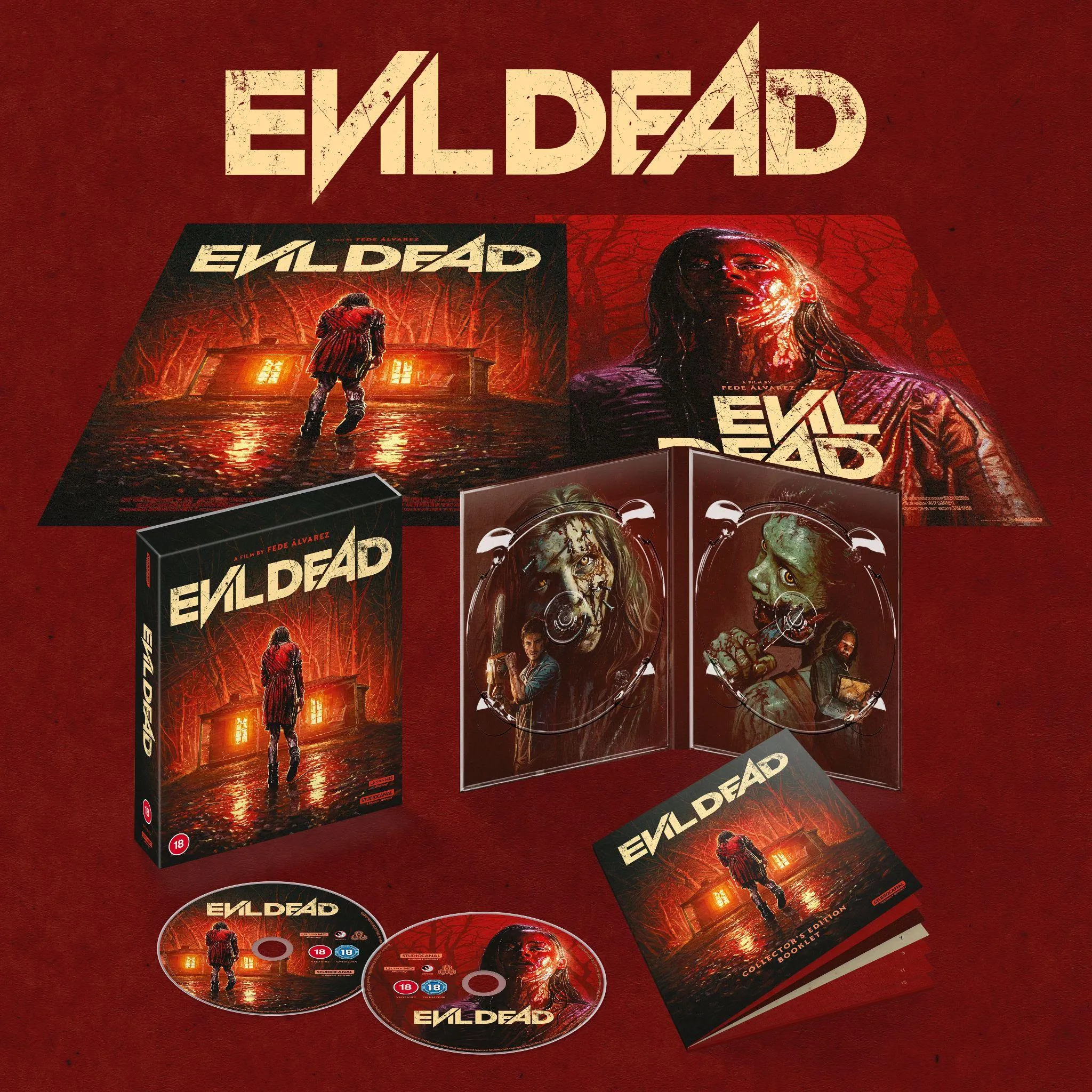 EVIL DEAD (Credit: Studiocanal)