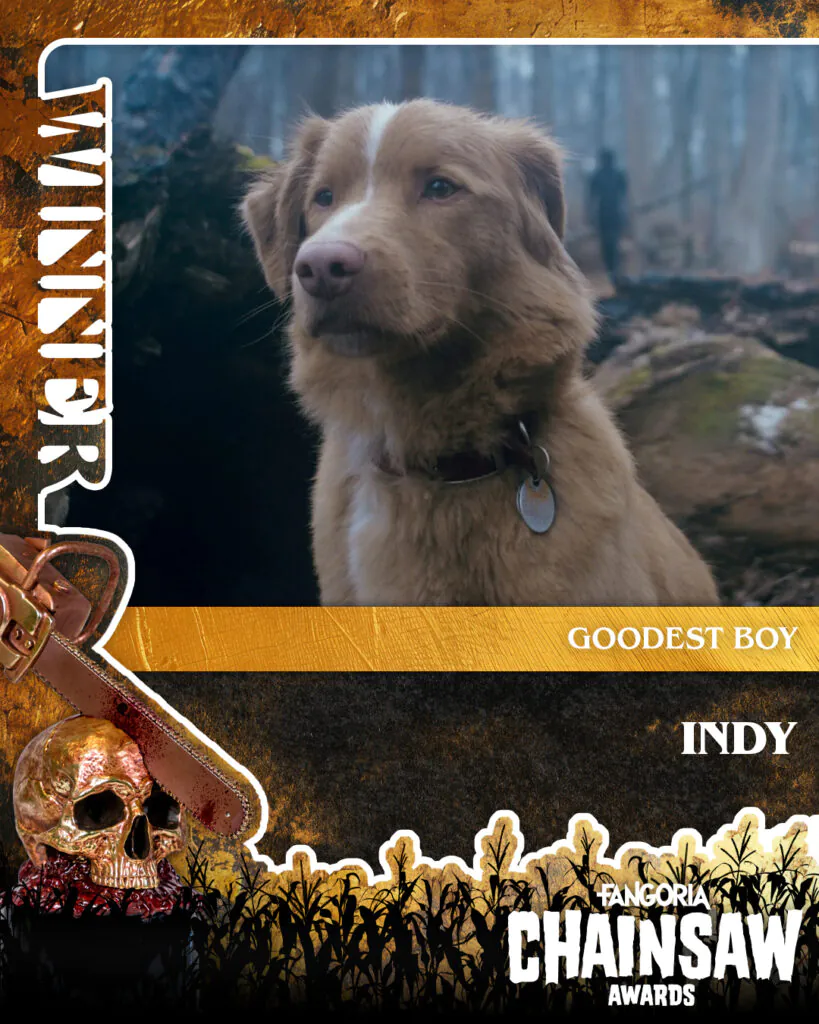 CHAINSAW AWARD FOR GOODEST BOY: Indy, Good Boy